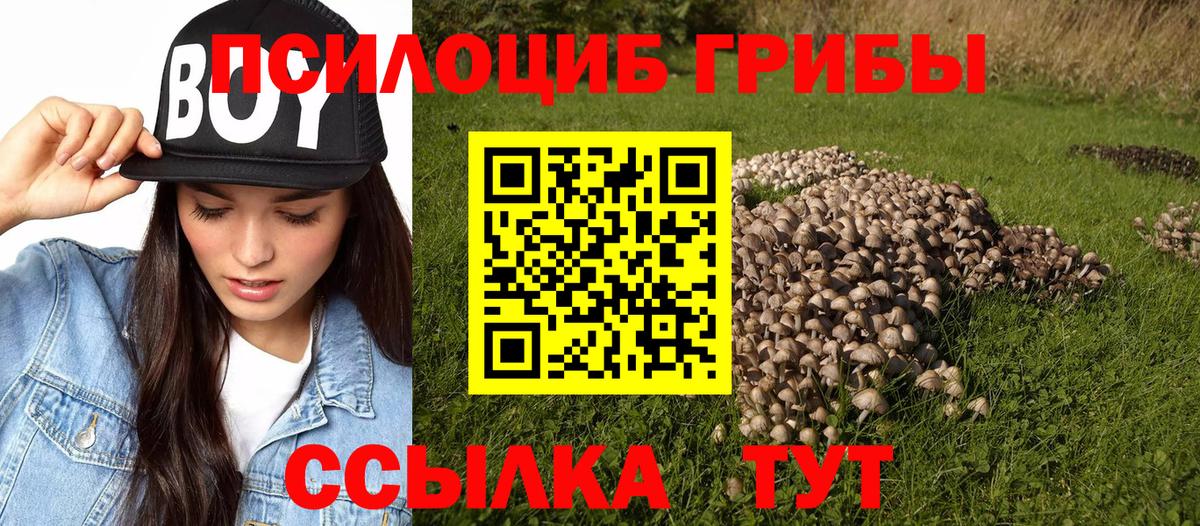 Семёнов  Псилоцибиновые грибы Cubensis  Вход с VPN 